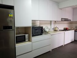 Spottiswoode Park (D2), Apartment #359391181